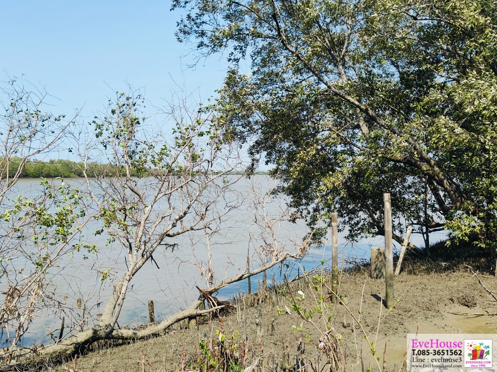 ขายที่ดิน บางปะกง  ติดหลังแม่น้ำบางปะกง จ.ฉะเชิงเทรา ด้าหน้าติด ถ.บางนา - ตราด 15.5 ไร่ ถมแล้วทั้งแปลง ไร่ละ 12 ล้าน
