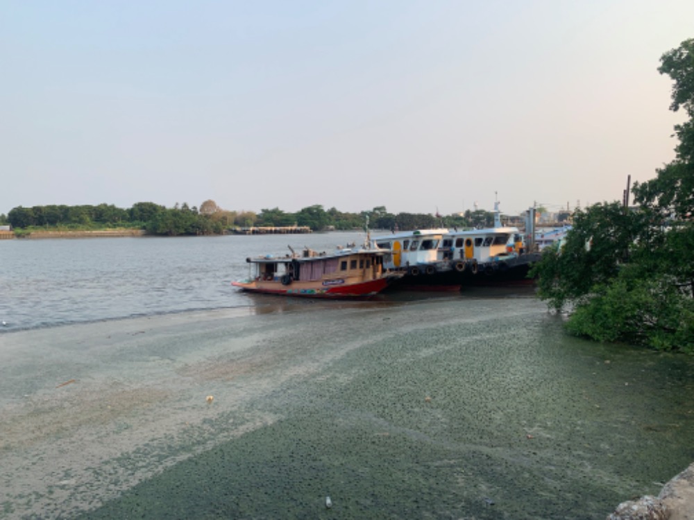 ที่ดินติดแม่น้ำเจ้าพระยา – รูปที่ 2