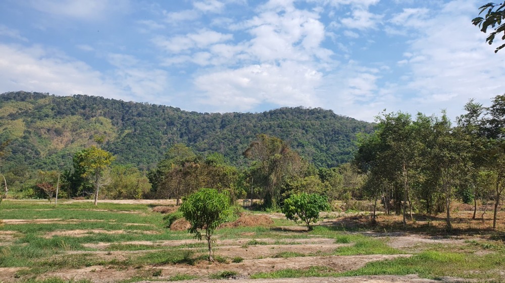 ใกล้เขาใหญ่ น้ำตก ปราจีน  ไร่ละ 1.59ล้าน – รูปที่ 2
