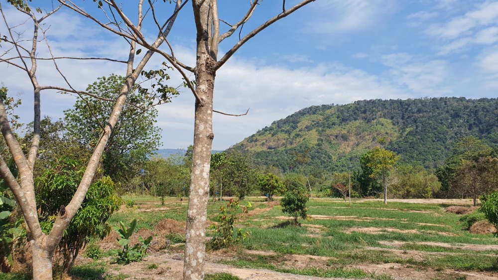 ใกล้เขาใหญ่ น้ำตก ปราจีน  ไร่ละ 1.59ล้าน – รูปที่ 3