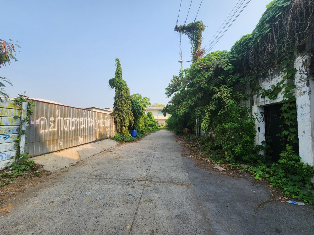🔥Best Deal🔥Land for rent, Sukhumvit 101/1, Soi Wachiratham Sathit 36, area 328 sq m, rent 55,000 baht/month. 🔥Best Deal🔥Land for rent, Sukhumvit 101/1, Soi Wachiratham Sathit 36, area 328 sq m, rent 55,000 baht/month.