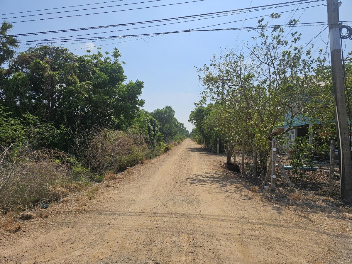 Urgent sale!!! Land with road access on 2 sides, 50 meters from the main road, 3 rai plot, Rangsit Khlong 14, Nong Suea Subdistrict. – รูปที่ 4