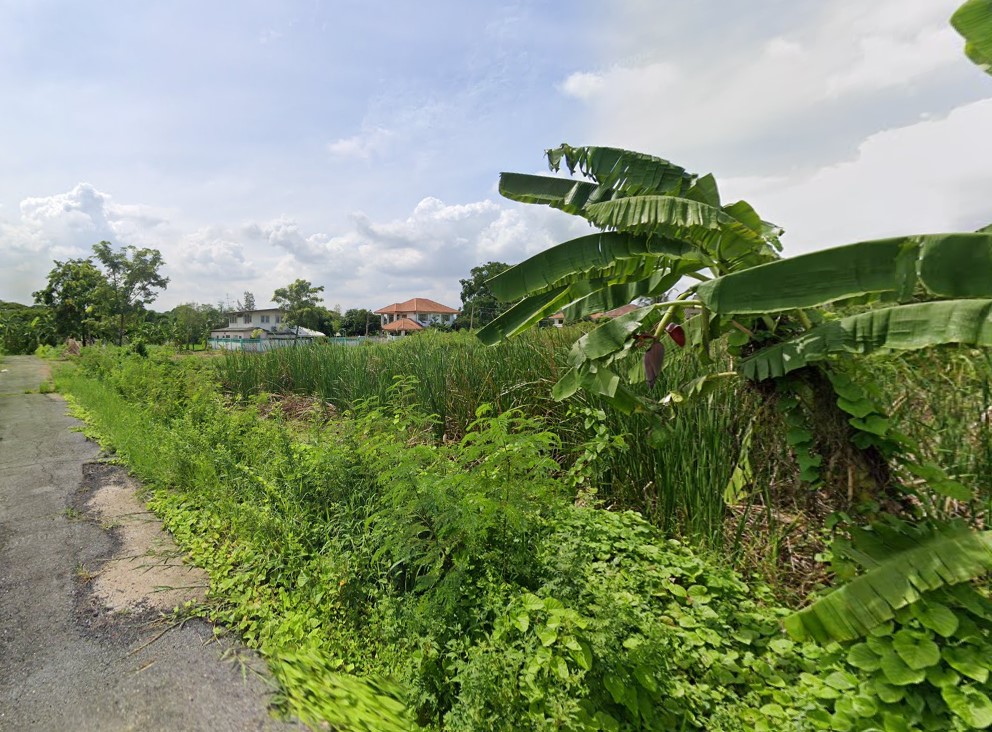 Land for sale, price less than 1.5 million, area 50 sq m, Salaya, Nakhon Pathom Province, near Mahidol University, only 3 km., suitable for building a house. – รูปที่ 3