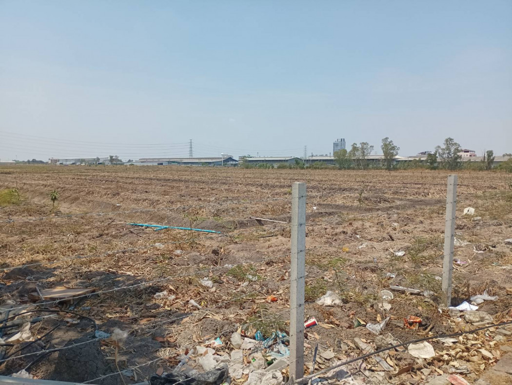Land for sale near Bangkok University, next to Phahon Yothin Road, size 183 rai 1 ngan 88 sq wa, near Thammasat University. – รูปที่ 3