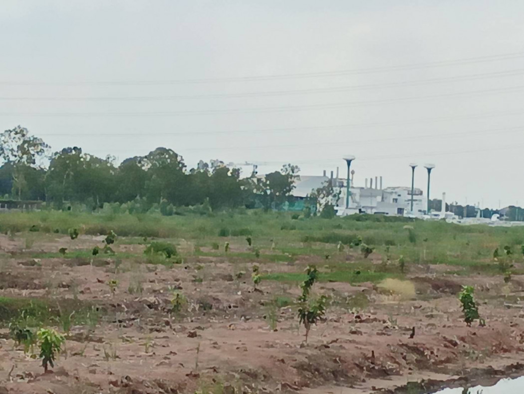 Land for sale near Bangkok University, next to Phahon Yothin Road, size 183 rai 1 ngan 88 sq wa, near Thammasat University. – รูปที่ 4