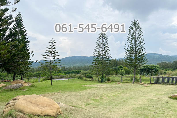 ขาย ที่ดิน 73 ไร่ คลองม่วง ปากช่อง จ.นครราชสีมา ที่ดินบนเนินเขา เห็นวิว เขายายเที่ยง ทำเลดี เดินทางสะดวก
