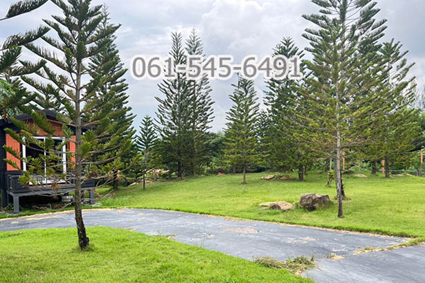 ขาย ที่ดิน 73 ไร่ คลองม่วง ปากช่อง จ.นครราชสีมา ที่ดินบนเนินเขา เห็นวิว เขายายเที่ยง ทำเลดี เดินทางสะดวก – รูปที่ 2