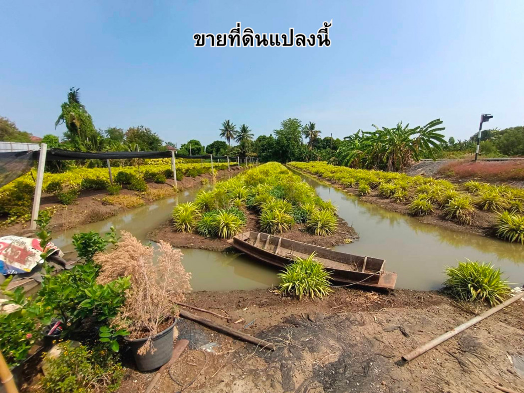 ขายที่ดิน 3 ไร่ 3 งาน 92 ตารางวา ซ.สันติธรรม 2 บางใหญ่ นนทบุรี ขายที่ดิน 3 ไร่ 3 งาน 92 ตารางวา ซ.สันติธรรม 2 บางใหญ่ นนทบุรี