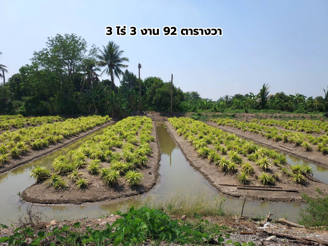 ขายที่ดิน 3 ไร่ 3 งาน 92 ตารางวา ซ.สันติธรรม 2 บางใหญ่ นนทบุรี – รูปที่ 2