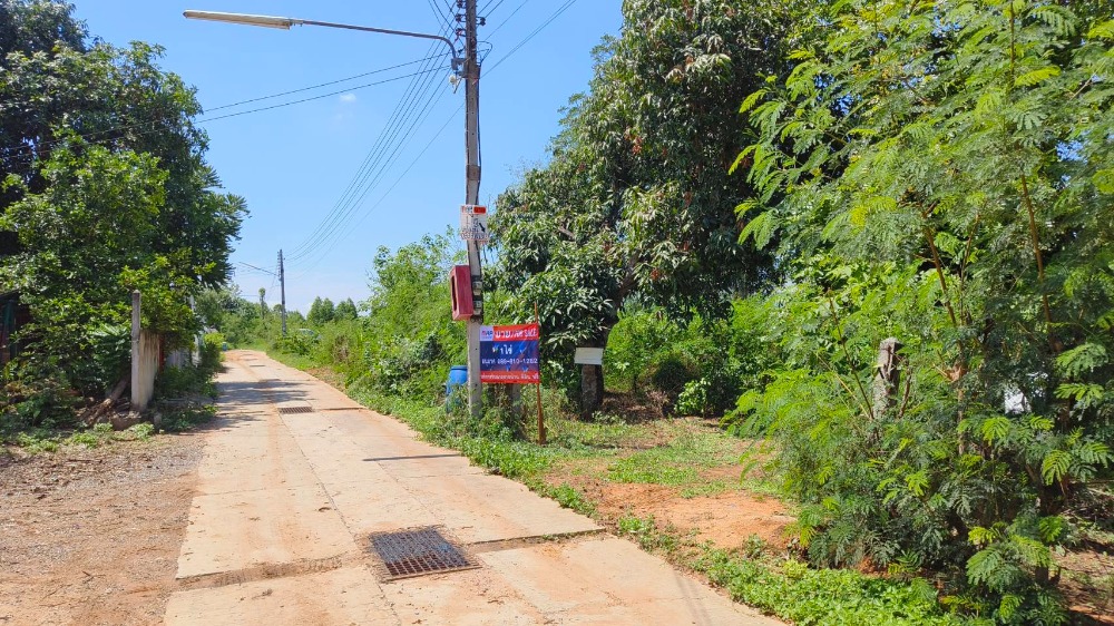 Land for sale, 400 sq m., 900 meters from Mittraphap Road, Phaendin Tham Road, Sikhio District, Nakhon Ratchasima. Land for sale, 400 sq m., 900 meters from Mittraphap Road, Phaendin Tham Road, Sikhio District, Nakhon Ratchasima.