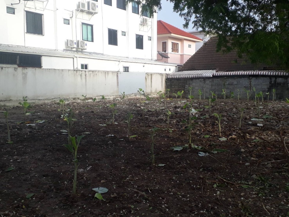Land for sale, Soi Wicharatham Sathit 51, total area 120 square wah (2 plots/each plot 60 square wah) – รูปที่ 4