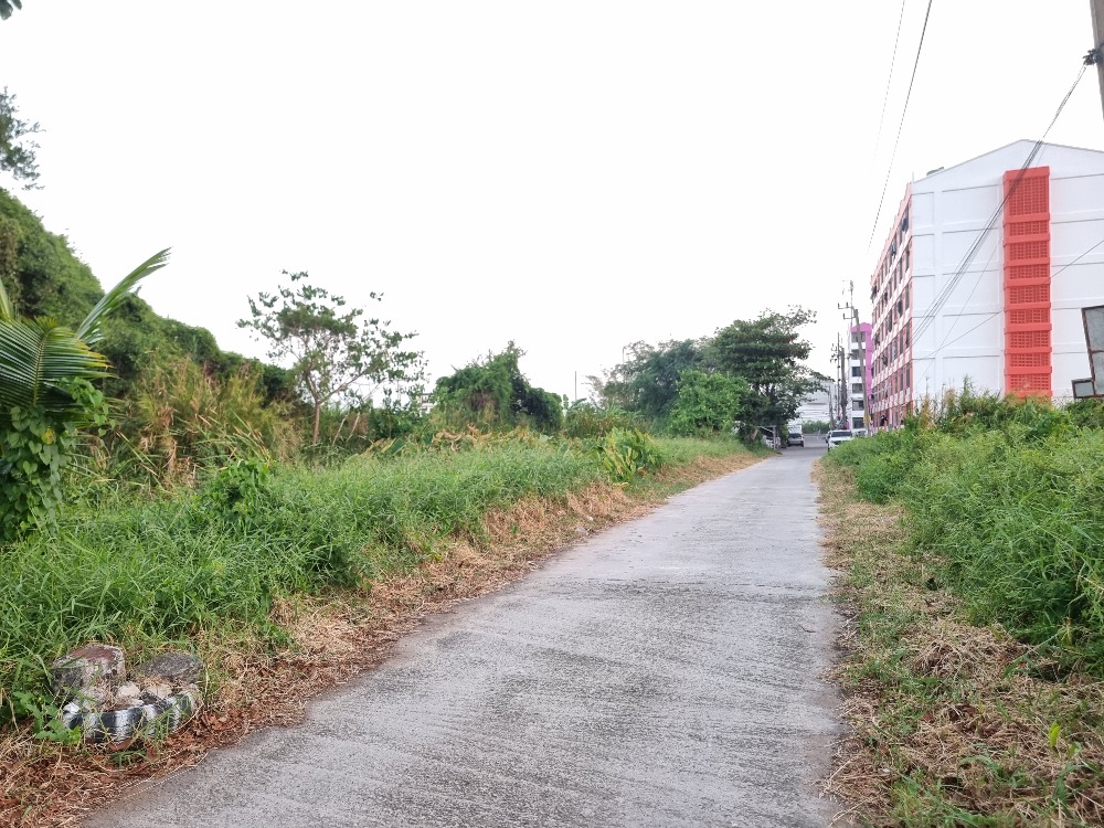 ที่ดิน 427 ตรว. ซอยสุทินแมนชั่น เยื้องซอยคิงคอง ถนนเทพารักษ์ กม. 25 อ.บางเสาธง สมุทรปราการ – รูปที่ 4
