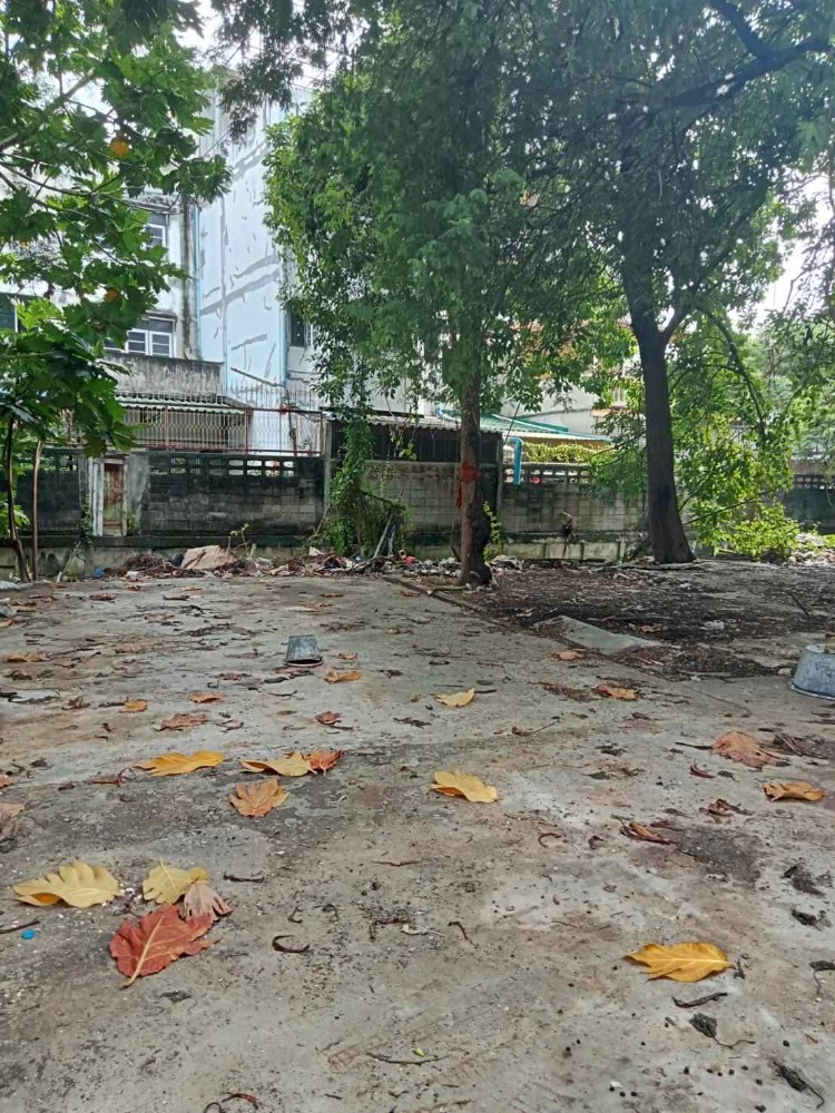 ขายที่ดิน 94 วา ซอยเพชรเกษม20 ใกล้รถไฟฟ้า MRT บางไผ่ 750m, แปลงหัวมุมสวย – รูปที่ 2