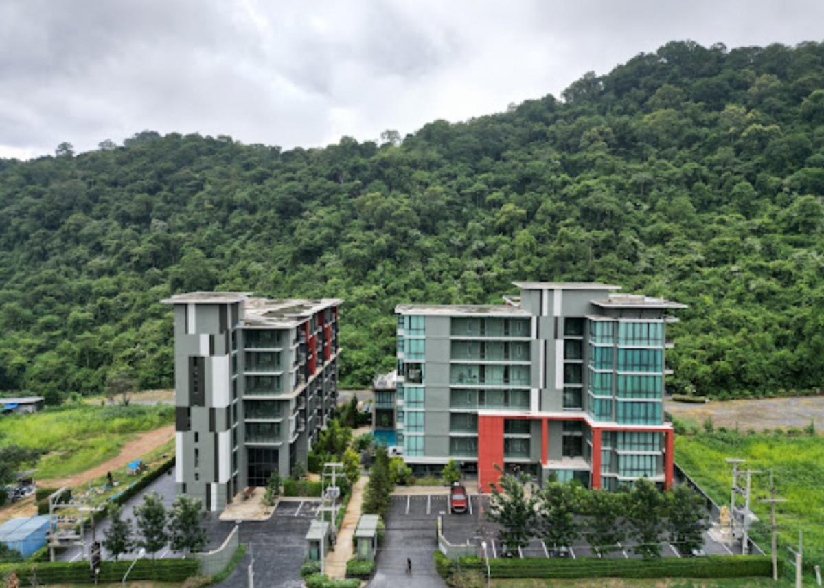 ขายคอนโด #หรูฟอร์เรสต์เขาใหญ่ แบบห้อง pool view #พร้อมสวนส่วนตัว 58 ตรม สัมผัสธรรมชาติ# แบบใกล้ชิด พร้อมสาธารณูปโภค ครบครัน# – รูปที่ 2