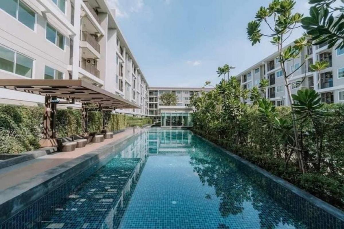 MT Residences คลองหลวง หน้า วัดพระธรรมกาย ให้เช่า – รูปที่ 3
