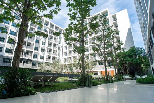 Condo for rent, Dusit D2 Residence Huahin, near Hua Hin beach. Complete furniture and electrical appliances, ready to move in, area 29 sq m.
