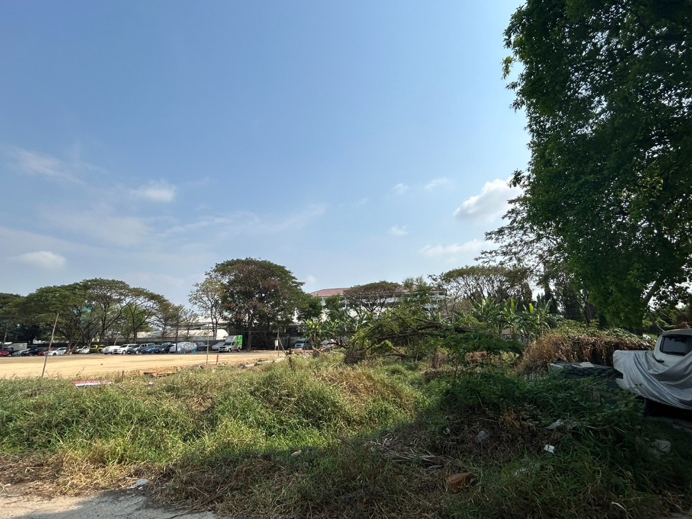 ขายที่ดิน 332 ตร.ว. ประเวศ อ่อนนุช55/1 ใกล้รถไฟฟ้าสายสีเหลือง – รูปที่ 3