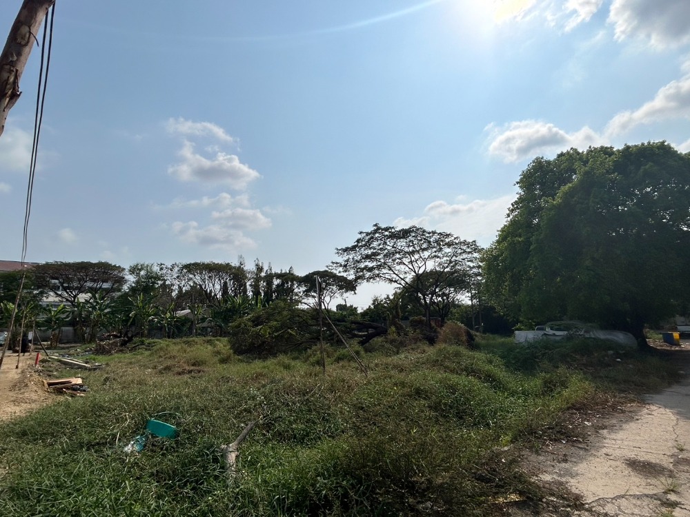 ขายที่ดิน 332 ตร.ว. ประเวศ อ่อนนุช55/1 ใกล้รถไฟฟ้าสายสีเหลือง – รูปที่ 4