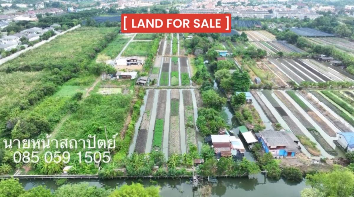 🌳 Land for sale 11.3 rai, green pattern plan (draft city plan is about to change to yellow) future Yellow city plan ✅ for single-family residences Townhouse ✅ Mixed residential building Small-medium sized ✅ Commercial buildings, offices, hotels and market 🌳 Land for sale 11.3 rai, green pattern plan (draft city plan is about to change to yellow) future Yellow city plan ✅ for single-family residences Townhouse ✅ Mixed residential building Small-medium sized ✅ Commercial buildings, offices, hotels and market