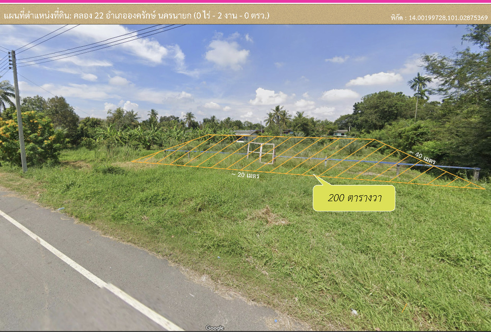 ขายที่ดิน 200 ตรว. พร้อมสวนอินทผลัม ขายที่ดิน 200 ตรว. พร้อมสวนอินทผลัม
