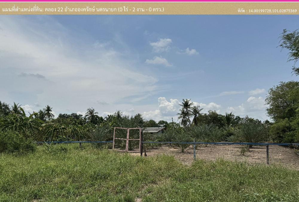 ขายที่ดิน 200 ตรว. พร้อมสวนอินทผลัม – รูปที่ 2