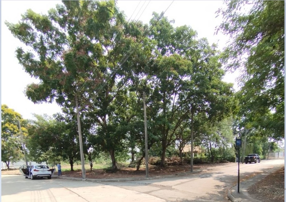 Land for sale, corner plot 152 sq m, The Lagoon Village 1-2, Sam Khok, Pathum Thani.