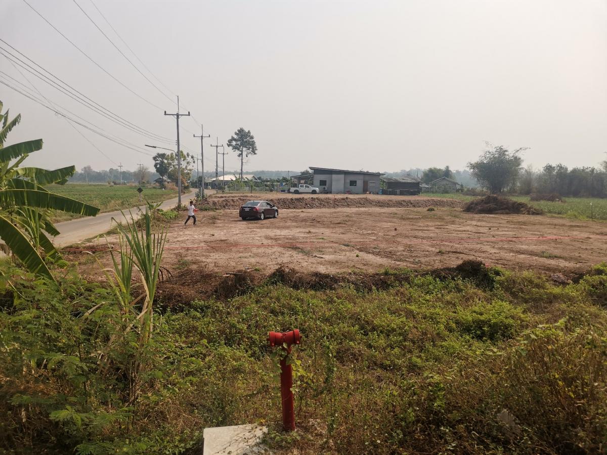 ขายที่ดิน​ ติดถนน​ 2ด้าน​ บ้านเกาะสะบ้า​ ​หนองปลิง​ กำแพงเพชร​ – รูปที่ 2