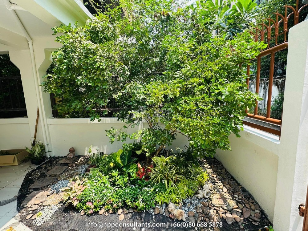 บ้านเดี่ยวสำหรับเช่า : Single house near Emsphere – รูปที่ 3
