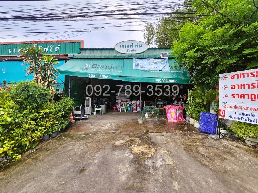 ขายตึกแถวชั้นเดียว เชียงยืน มหาสารคาม 58.3ตร.วา ติดถนนใหญ่ ค้าขายได้ – รูปที่ 3