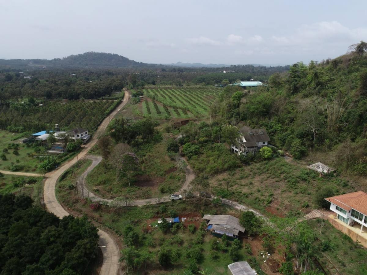 Beautiful plot of land for sale, good view, water and electricity ready, Khao Wua Subdistrict, Tha Mai District, suitable for building a vacation home. Near Phraya Trang Road, convenient travel. Beautiful plot of land for sale, good view, water and electricity ready, Khao Wua Subdistrict, Tha Mai District, suitable for building a vacation home. Near Phraya Trang Road, convenient travel.