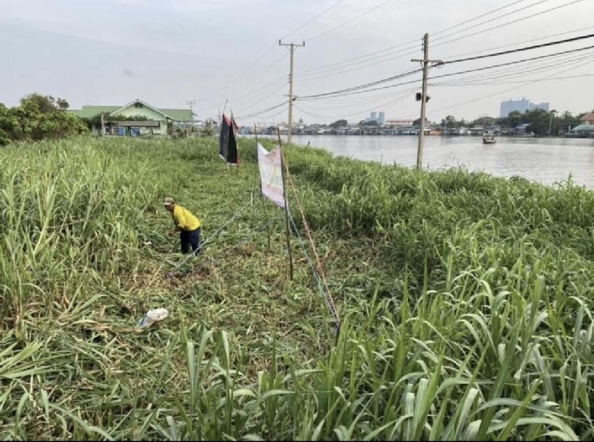 ขายที่ดินริมน้ำราคาถูก ด่วน หลายแปลง ที่เกาะเกร็ด ขายที่ดินริมน้ำราคาถูก ด่วน หลายแปลง ที่เกาะเกร็ด