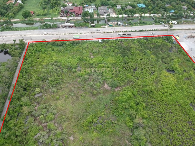 Empty land for sale Filled in and has a wide frontage next to the main road with an exit to the Bang Pakong River. Tha Sa-an Subdistrict Bang Pakong-Chachoengsao Road NO.00-LA-62049 – รูปที่ 3