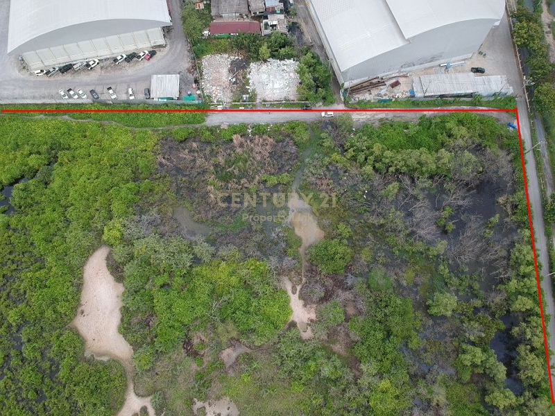 Empty land for sale Filled in and has a wide frontage next to the main road with an exit to the Bang Pakong River. Tha Sa-an Subdistrict Bang Pakong-Chachoengsao Road NO.00-LA-62049 – รูปที่ 4