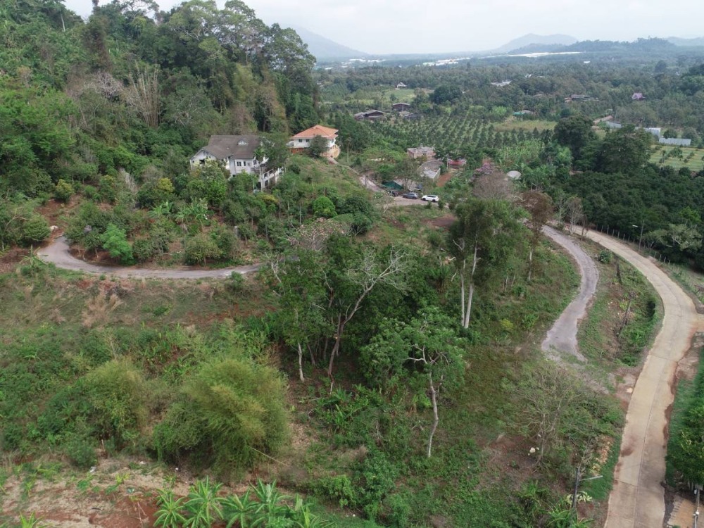 Beautiful plot of land for sale, good view, water and electricity ready, Khao Wua Subdistrict, Tha Mai District, suitable for building a vacation home. Near Phraya Trang Road, convenient travel. – รูปที่ 3