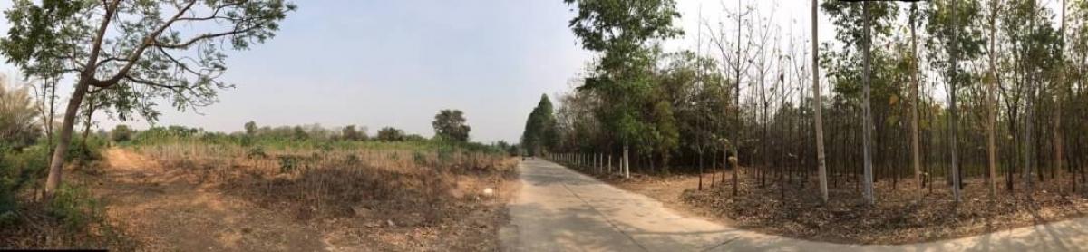 ขายที่ดินวิวสวยครุฑแดง52ไร่ราคาถูกมาก – รูปที่ 2