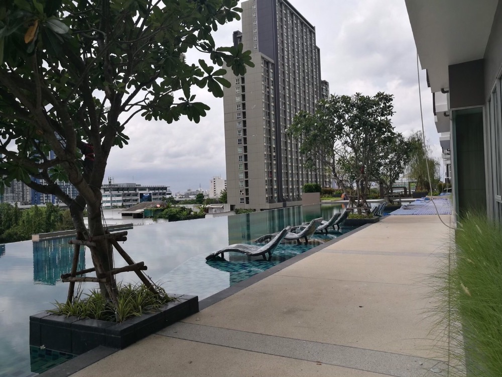 Urgent sale !! 1.8 million baht, Supalai Vernda Condo Ratchawipa Prachachuen, Studio Room, Floor 19 – รูปที่ 3