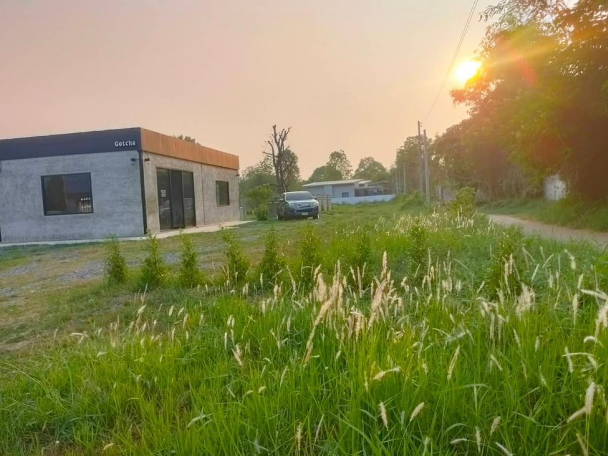 ❤️❤️Rent/Sell 1 rai of land urgently, already filled, near Sakon Nakhon University, can be used for business, the land can be built as a coffee shop and can be used for coffee and food. Beautiful land next to the road ❤️❤️Rental price including coffee sho ❤️❤️Rent/Sell 1 rai of land urgently, already filled, near Sakon Nakhon University, can be used for business, the land can be built as a coffee shop and can be used for coffee and food. Beautiful land next to the road ❤️❤️Rental price including coffee sho