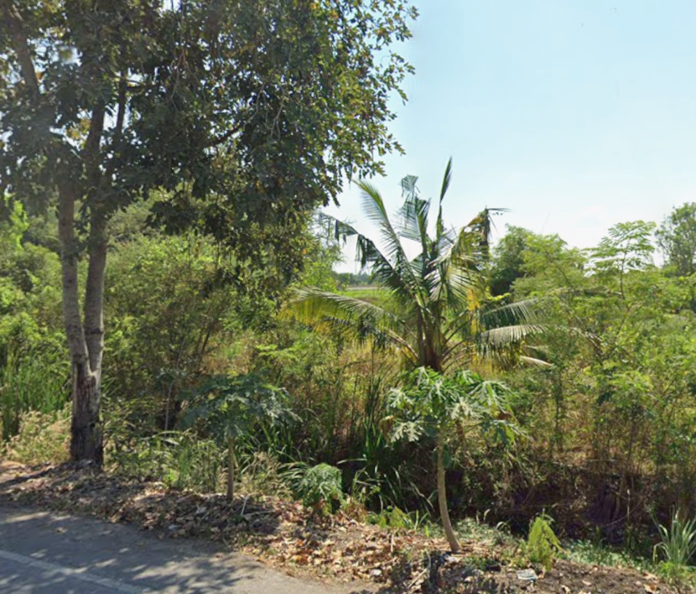 ขายที่ดิน ใกล้ทางด่วนบางปะอิน 700 เมตร – รูปที่ 3