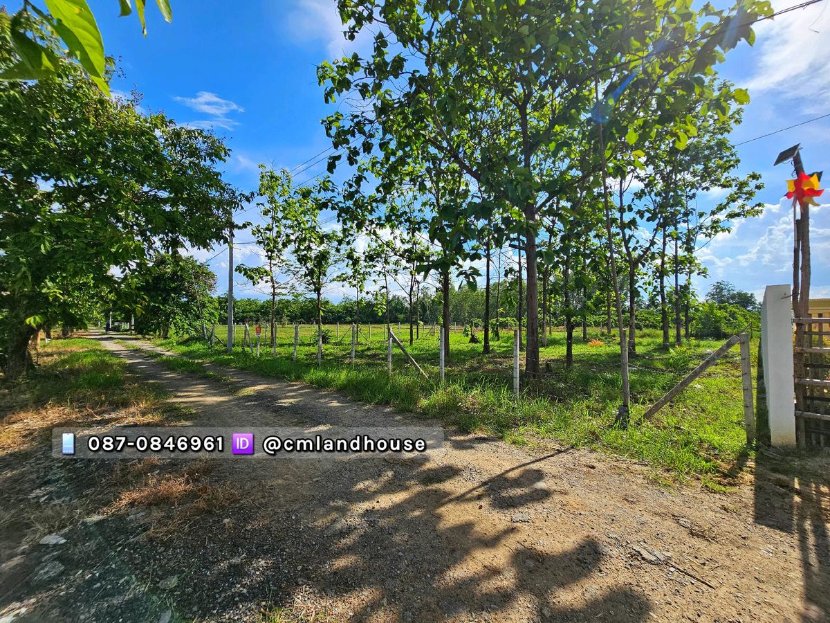 Land in San Kamphaeng District for sale, cheap at 6,000/square wa, with water, electricity, public road, in the middle of a community.