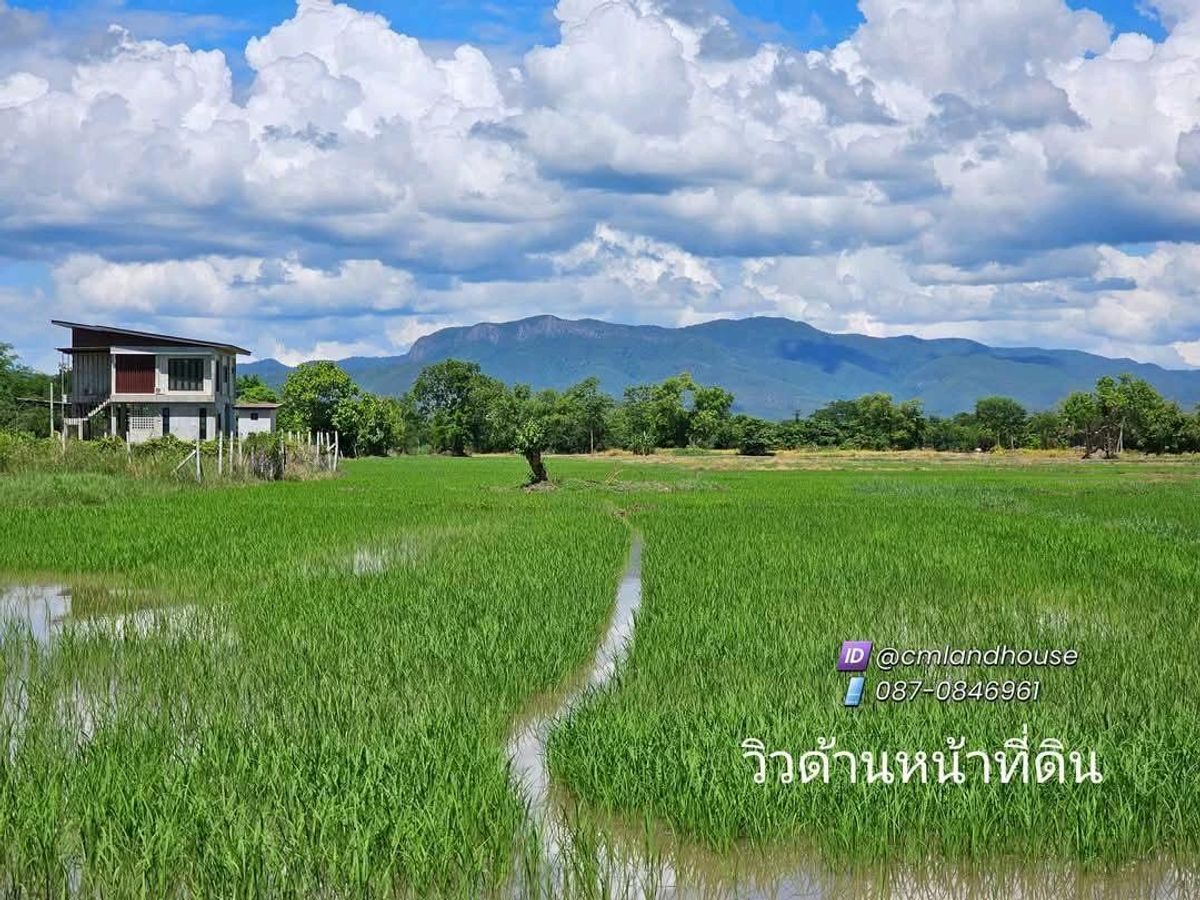แบ่งขาย 100 ตรว. 690,000 ที่ดินวิวดอย วิวนา อ.สันกำแพง มีน้ำไฟ ถนนสาธารณะ อยู่กลางชุมชน – รูปที่ 4