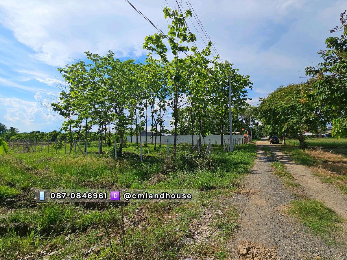 แบ่งขาย 100 ตรว. 690,000 ที่ดินวิวดอย วิวนา อ.สันกำแพง มีน้ำไฟ ถนนสาธารณะ อยู่กลางชุมชน – รูปที่ 2