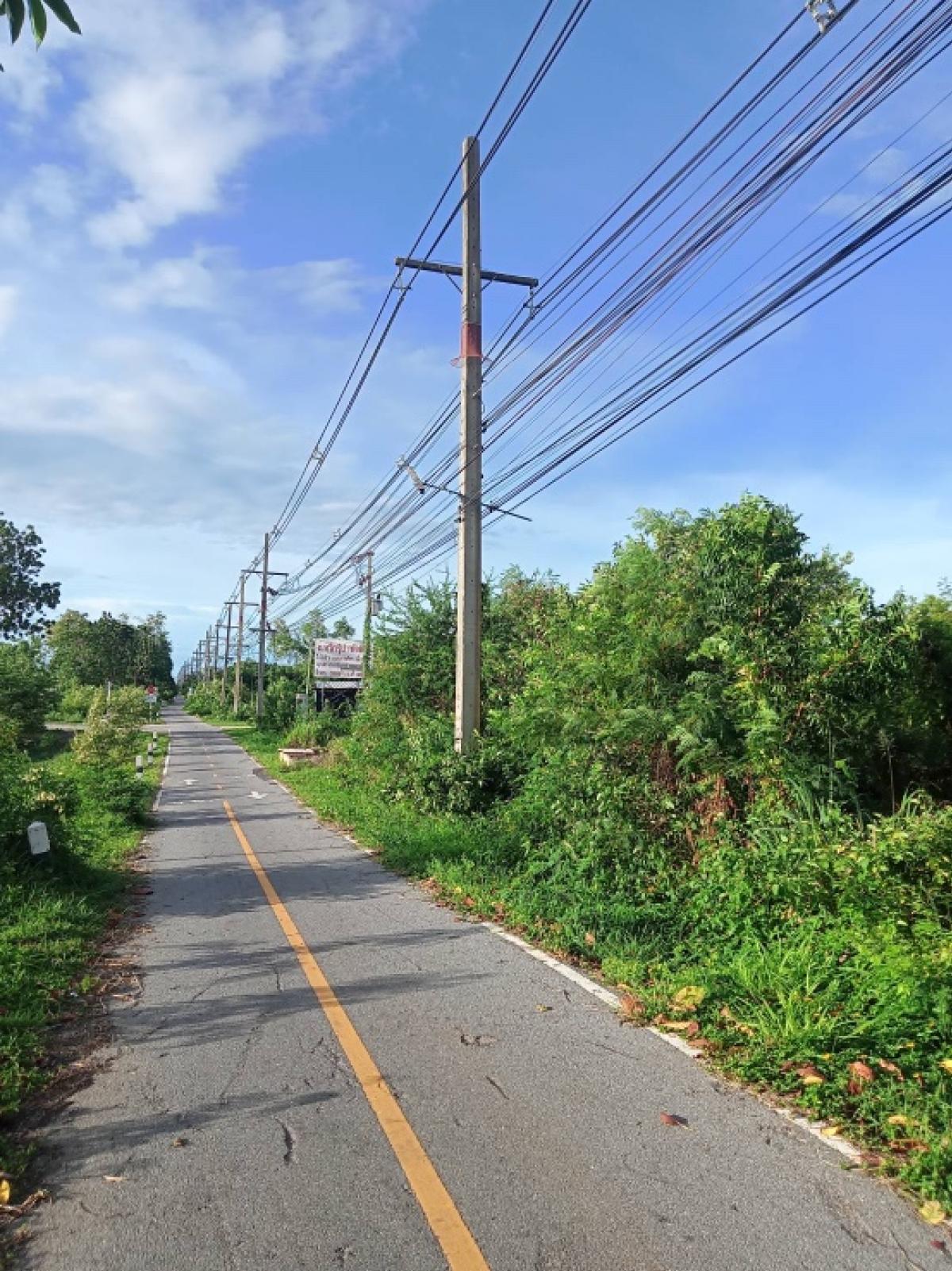 ขายที่ดิน#หัวหิน103 ติดถนนเพชรเกษม และสถานีรถไฟเขาเต่า 5-3-74 ไร่ เหมาะทำบ้าน pool villa #หรือ บัทเจ็ทโฮเทล#