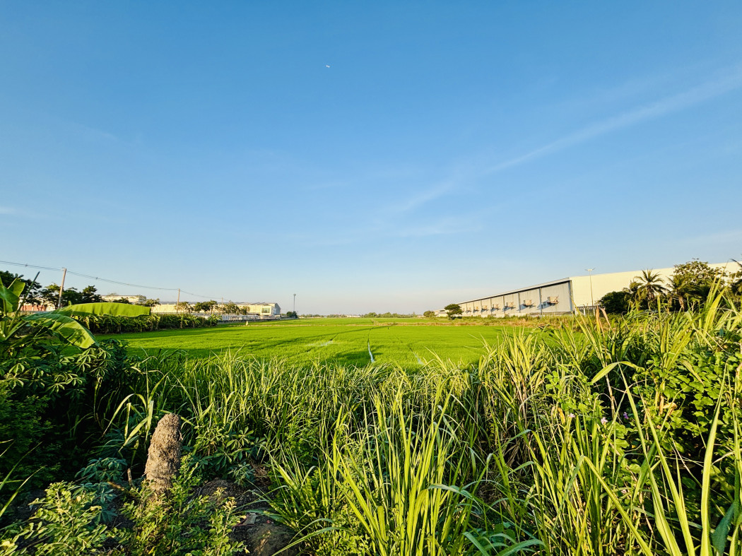 ขาย ที่ดิน ติดถนน บางบัวทอง-สุพรรณ เนื้อที่ 135 ไร่ 3 งาน 83 ตร.วา – รูปที่ 3