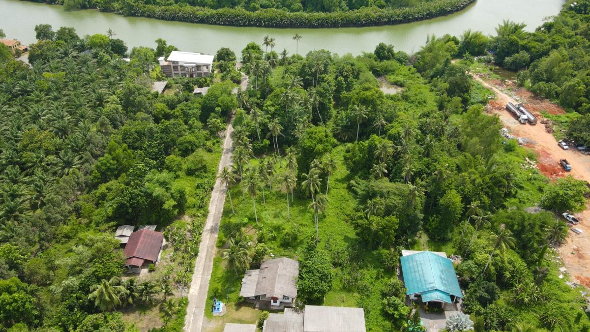 Land for sale, 4 rai, Tha Thong Mai Subdistrict. Kanchanadit District – รูปที่ 4