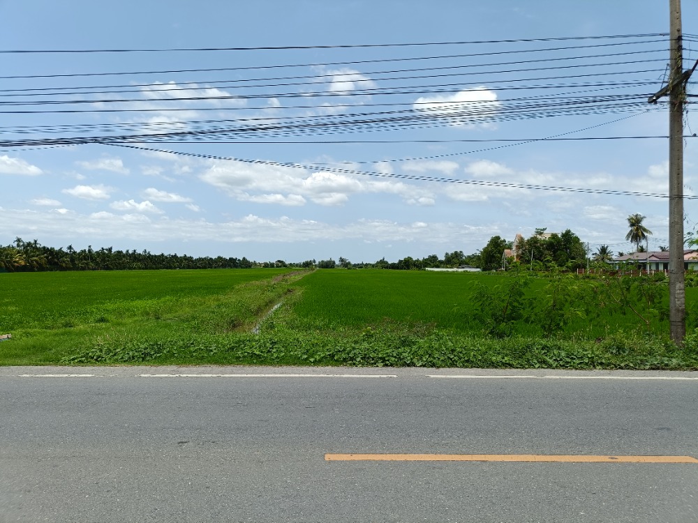 ที่ดินติดถนนดาวทอง(โยธาธิการ นครปฐม 2091) ต.มหาสวัสดิ์ อ. พุทธมณฑล  จ.นครปฐม – รูปที่ 2