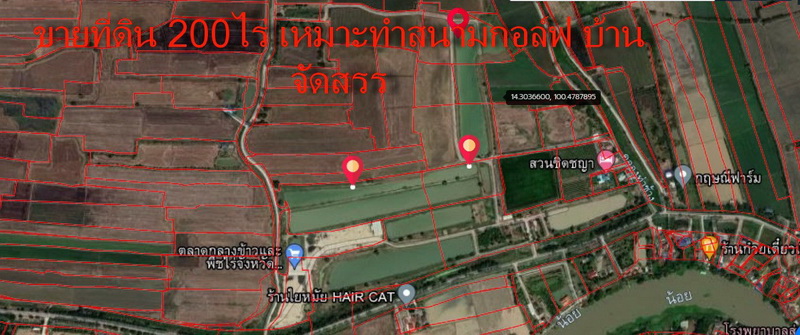 ขายที่ดินเปล่า 200 ไร่ ถมแล้ว แบ่งขายได้ มีต้นยูคาลิปตัสหมื่นๆต้น ต.แคออก อ.บางไท จ.พระนครศรีอยุธยาขายเท่าราคาประเมิน!!! ติดต่อด่วนคุณต่าย 099-1436534 ขายที่ดินเปล่า 200 ไร่ ถมแล้ว แบ่งขายได้ มีต้นยูคาลิปตัสหมื่นๆต้น ต.แคออก อ.บางไท จ.พระนครศรีอยุธยาขายเท่าราคาประเมิน!!! ติดต่อด่วนคุณต่าย 099-1436534