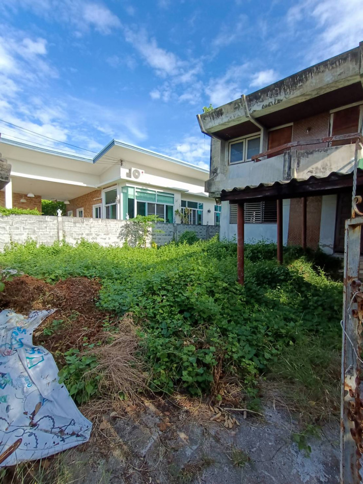 ขายที่ดิน เนื้อที่ 75 ตร.ว. หมู่บ้านเมืองทอง 4 ซ.ปุณณวิถี 53 (สุขุมวิท 101)  ทำเลดี อยู่ใจกลางเมือง – รูปที่ 4