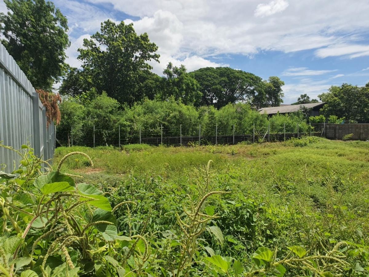 ❤️❤️❤️Land for sale in Nakhon Chai Si District, 200 sq.w., price only 4 million, 20,000 baht per sq.w. Interested, Line Tel. 0859114585 ❤️❤️Road Highway 3094, Soi 4/1 (Telephone Organization Soi), Tha Tamnak Subdistrict, Nakhon Chai Si District, Nakhon Pa – รูปที่ 4