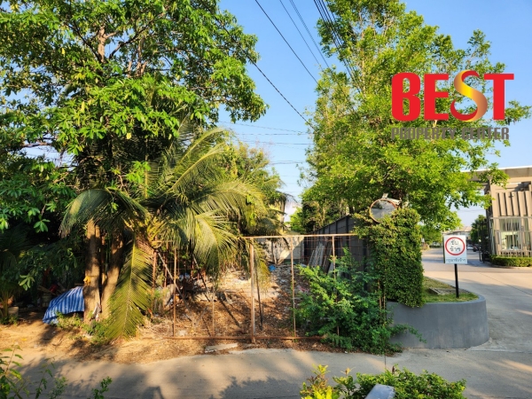 ขายที่ดินสวย บางใหญ่ ใกล้เวสต์เกต ถ.จันทร์ทองเอี่ยม 42.5วา เพียง 1.1ล้าน – รูปที่ 3