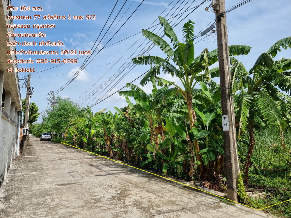 ที่ดิน 164 ตารางวา เพชรเกษม 77 สวัสดิการ 1 ซอย 9/2 เหมาะสร้างบ้าน – รูปที่ 3